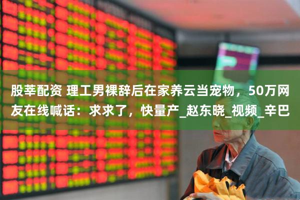 股莘配资 理工男裸辞后在家养云当宠物,50万网友在线喊话:求求了,快量产_赵东晓_视频_辛巴