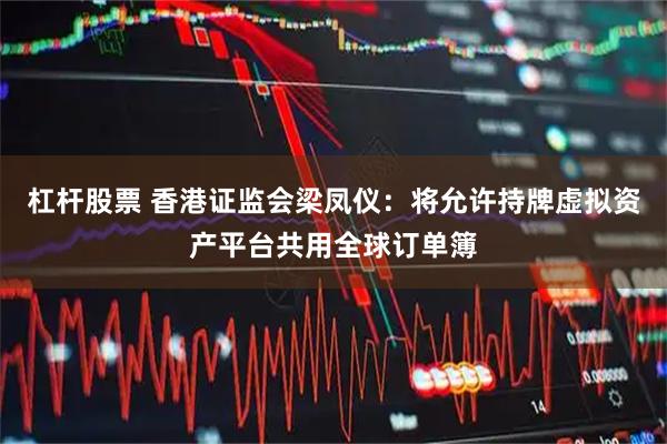 杠杆股票 香港证监会梁凤仪：将允许持牌虚拟资产平台共用全球订单簿