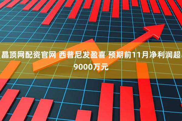 晶顶网配资官网 西普尼发盈喜 预期前11月净利润超9000万元